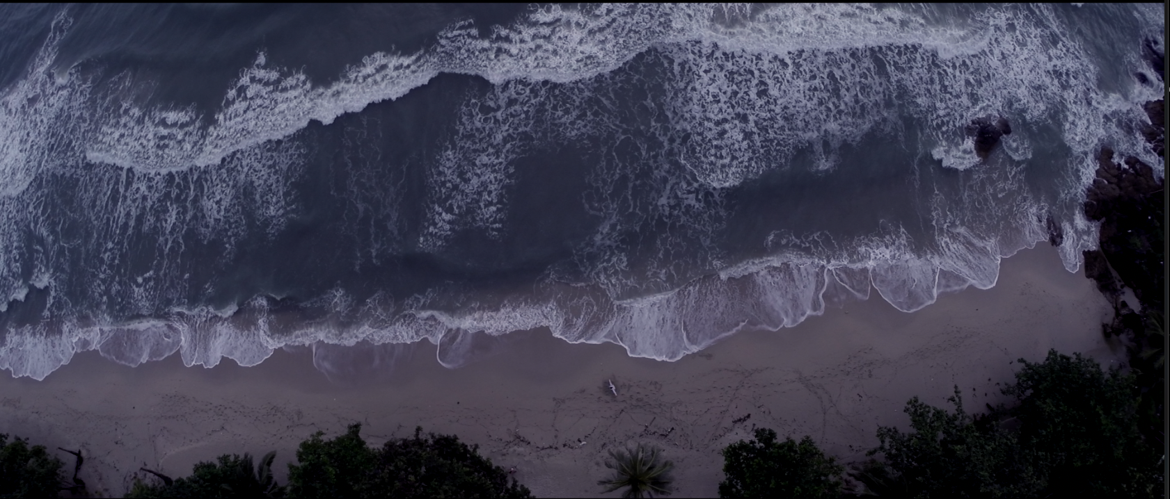 Top-down drone view of waves meeting the shoreline